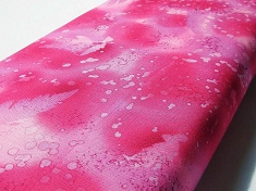 13.FUCHSIA.jpg